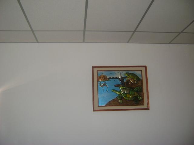 Las Gardenias Hotel ปวยร์โต วิลยามิล ภายนอก รูปภาพ